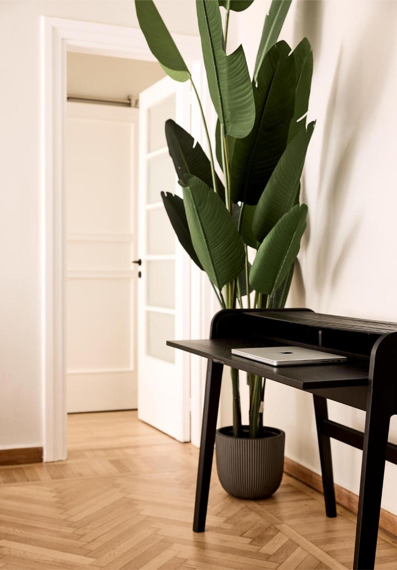 Lime Residences, Syntagma By Aura Homes 雅典 客房 照片